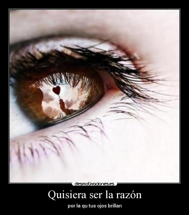 Quisiera ser la razón - 