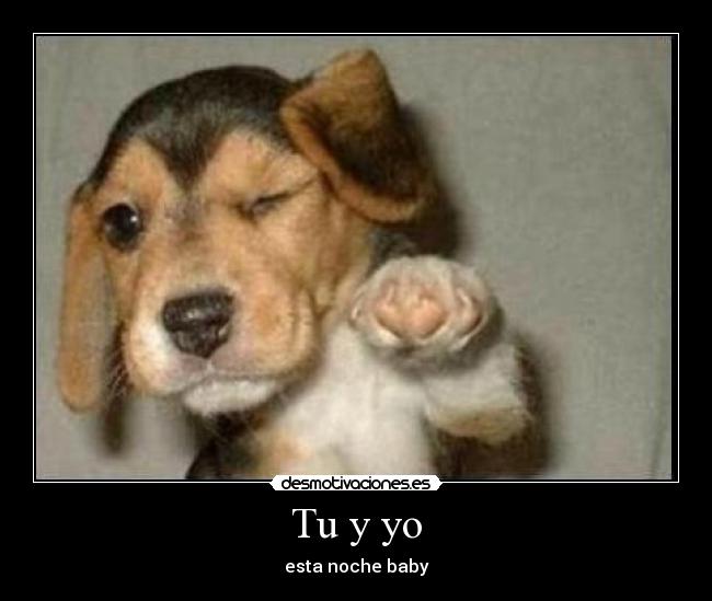 Tu y yo - esta noche baby