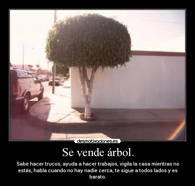 Se vende árbol. -