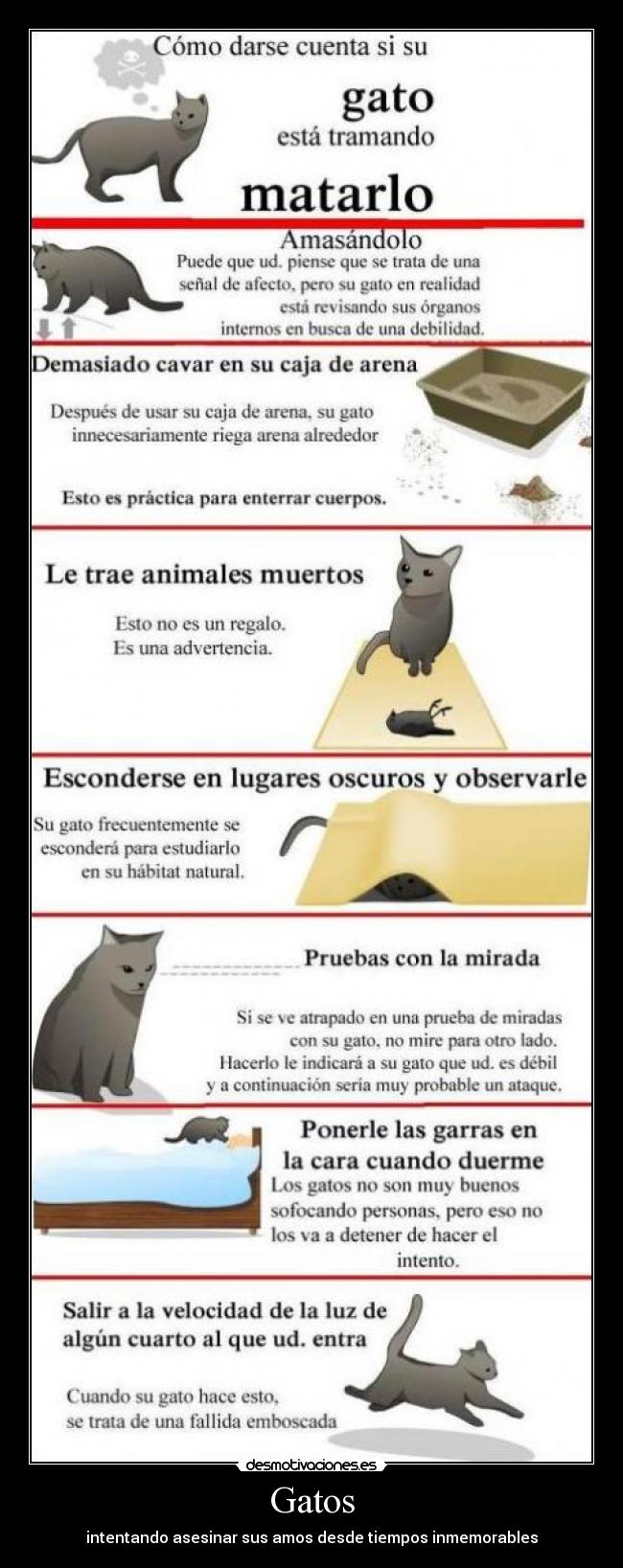 Gatos - intentando asesinar sus amos desde tiempos inmemorables