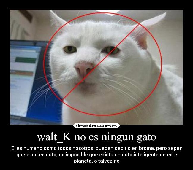 walt_K no es ningun gato - El es humano como todos nosotros, pueden decirlo en broma, pero sepan
que el no es gato, es imposible que exista un gato inteligente en este
planeta, o talvez no