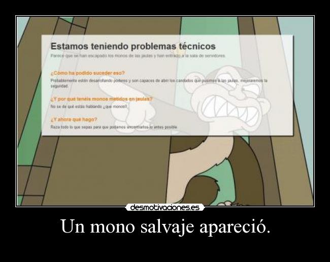 Un mono salvaje apareció. -