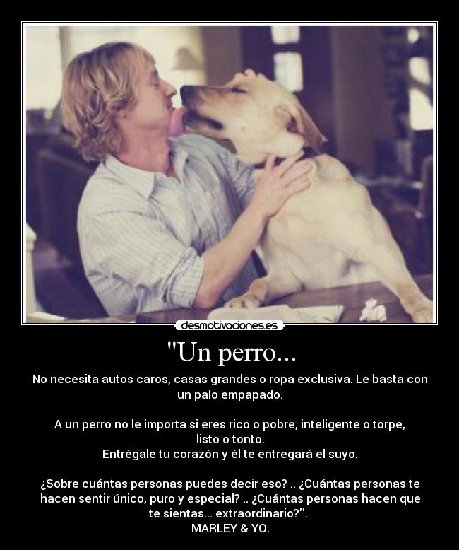 Un perro... - No necesita autos caros, casas grandes o ropa exclusiva. Le basta con
un palo empapado.
A un perro no le importa si eres rico o pobre, inteligente o torpe,
listo o tonto.
Entrégale tu corazón y él te entregará el suyo.
¿Sobre cuántas personas puedes decir eso? .. ¿Cuántas personas te
hacen sentir único, puro y especial? .. ¿Cuántas personas hacen que
te sientas... extraordinario?.
MARLEY & YO.