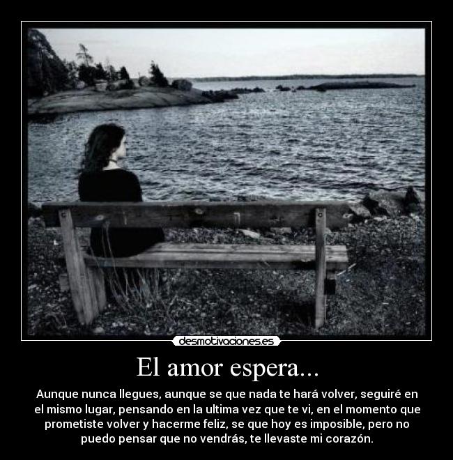 El amor espera... -