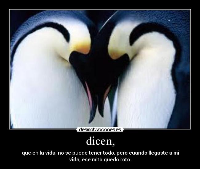 dicen, -