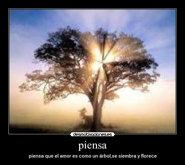 piensa - 