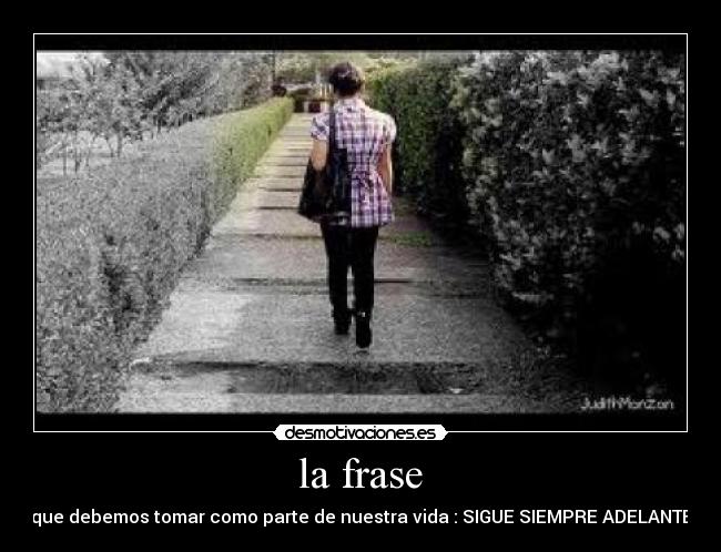 la frase - 