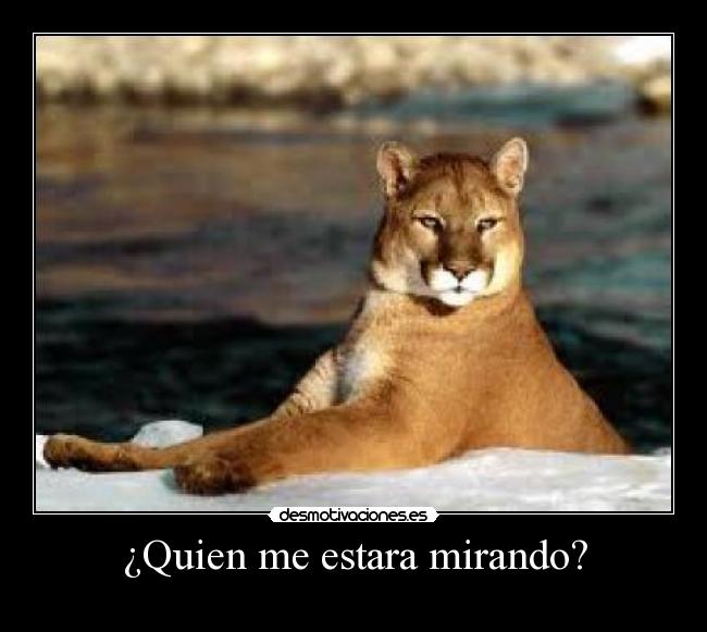 ¿Quien me estara mirando? -
