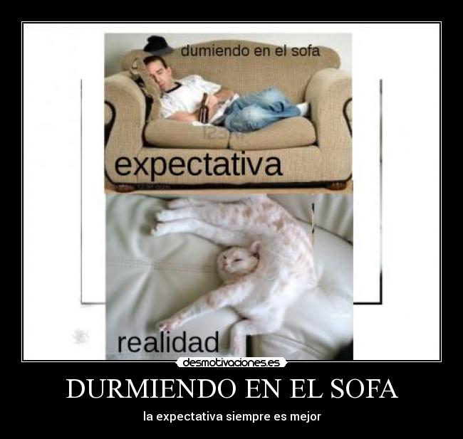 DURMIENDO EN EL SOFA - 