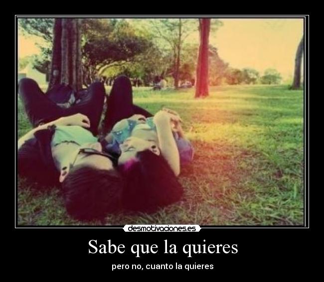 Sabe que la quieres - 