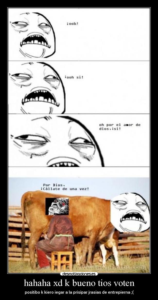 hahaha xd k bueno tios voten -