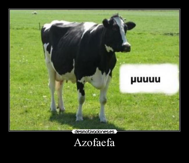 carteles clanhoygan clansabio desmotivaciones