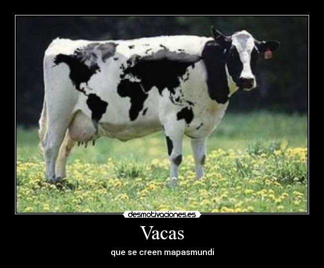 Vacas - que se creen mapasmundi