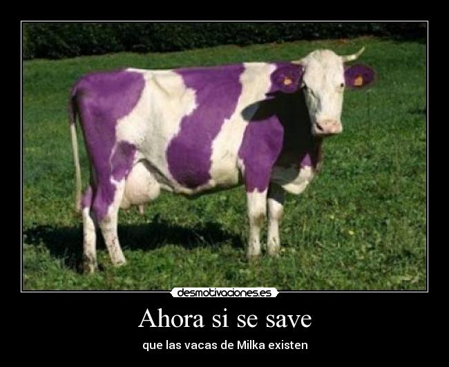 carteles yese desmotivaciones