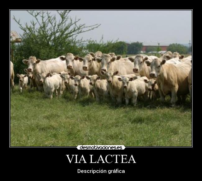 VIA LACTEA - Descripción gráfica