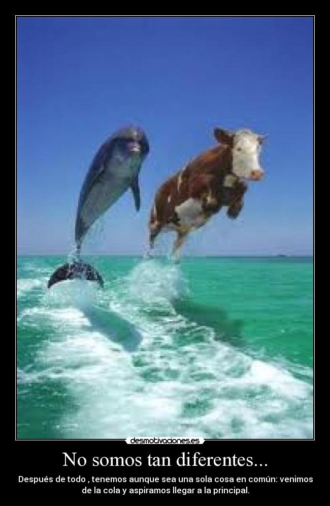 No somos tan diferentes... - Después de todo , tenemos aunque sea una sola cosa en común: venimos
de la cola y aspiramos llegar a la principal.