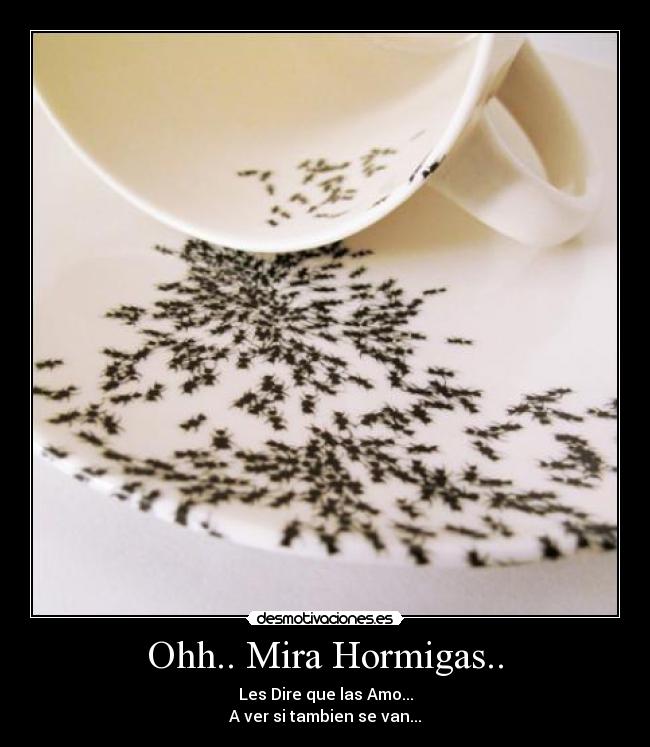 Ohh.. Mira Hormigas.. -