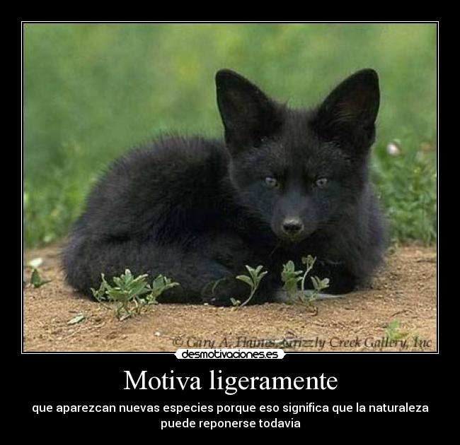 Motiva ligeramente - 