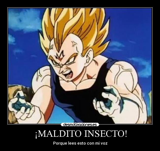 ¡MALDITO INSECTO! - 