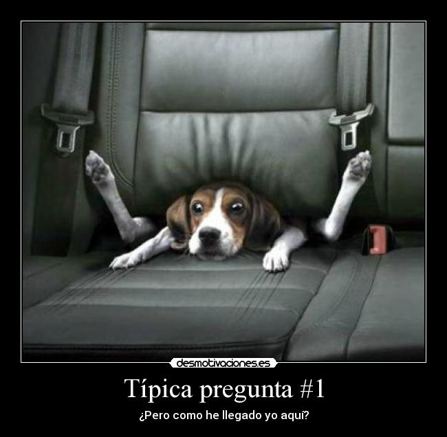 Típica pregunta #1 - ¿Pero como he llegado yo aquí?