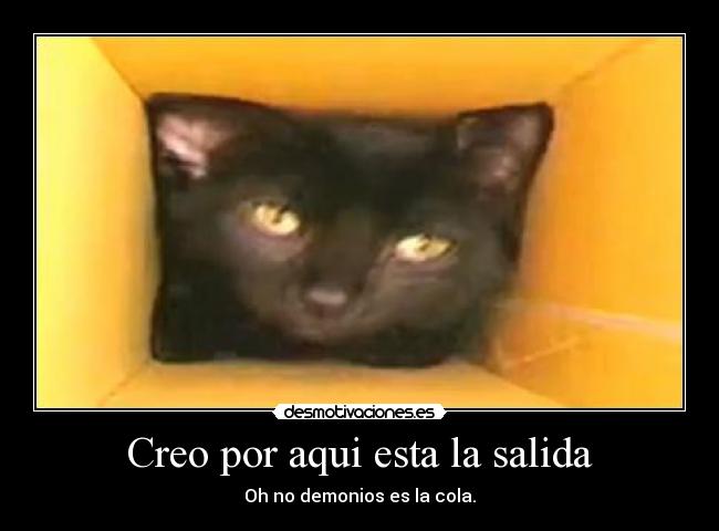 Creo por aqui esta la salida - Oh no demonios es la cola.