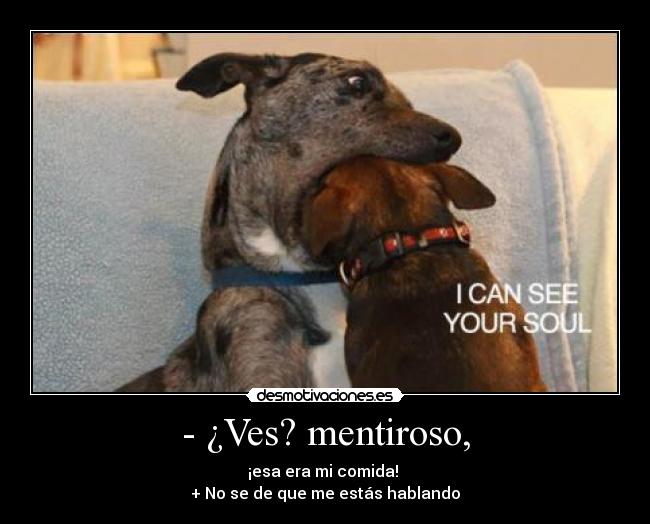 - ¿Ves? mentiroso, - ¡esa era mi comida!
+ No se de que me estás hablando