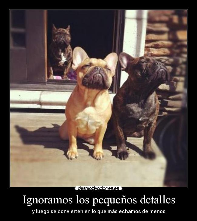 Ignoramos los pequeños detalles - 