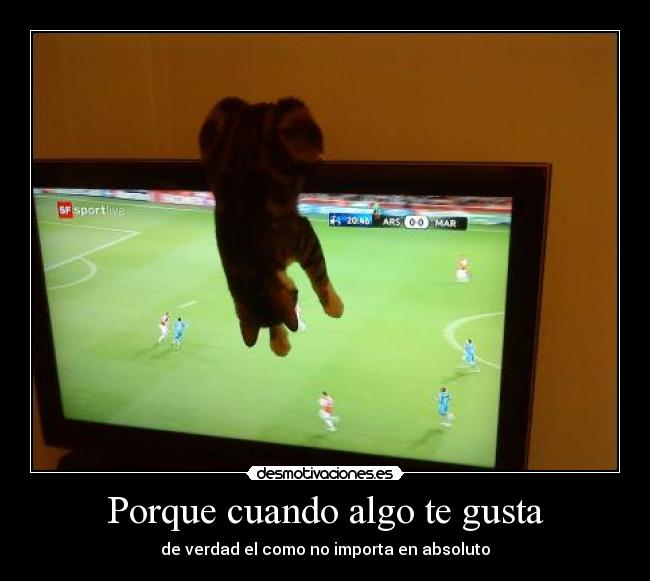 Porque cuando algo te gusta - de verdad el como no importa en absoluto