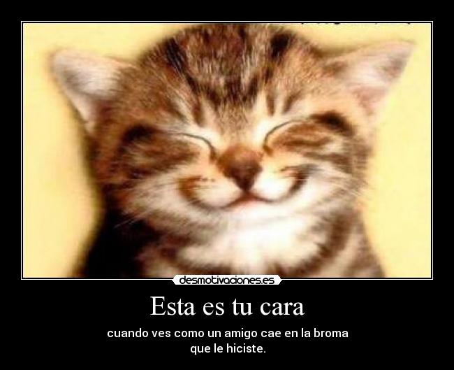 Esta es tu cara - cuando ves como un amigo cae en la broma
que le hiciste.