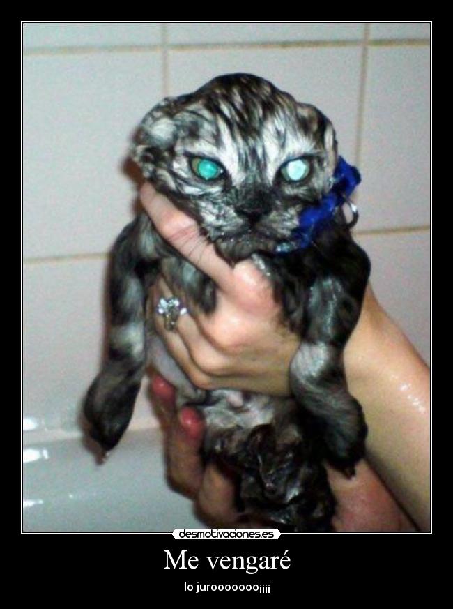Me vengaré - 