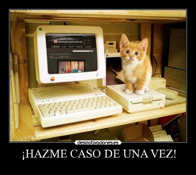 ¡HAZME CASO DE UNA VEZ! - 