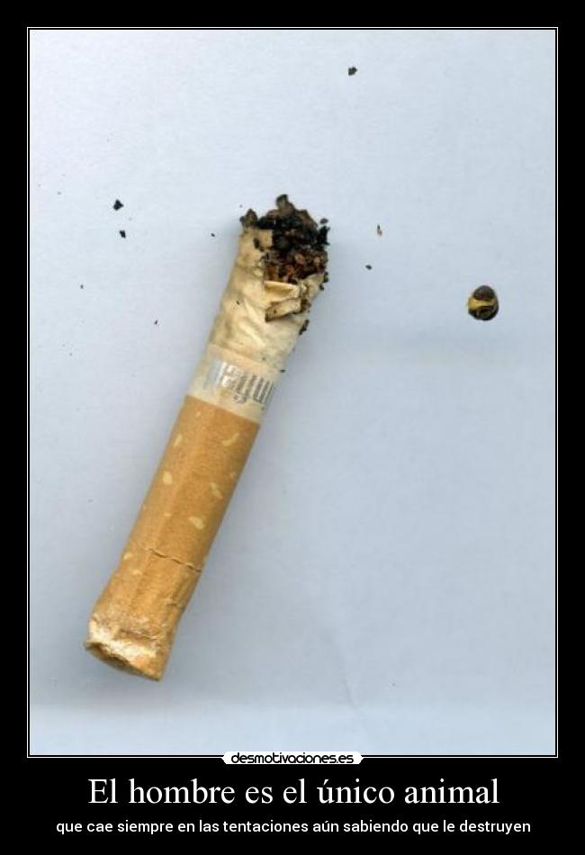 El hombre es el único animal - que cae siempre en las tentaciones aún sabiendo que le destruyen