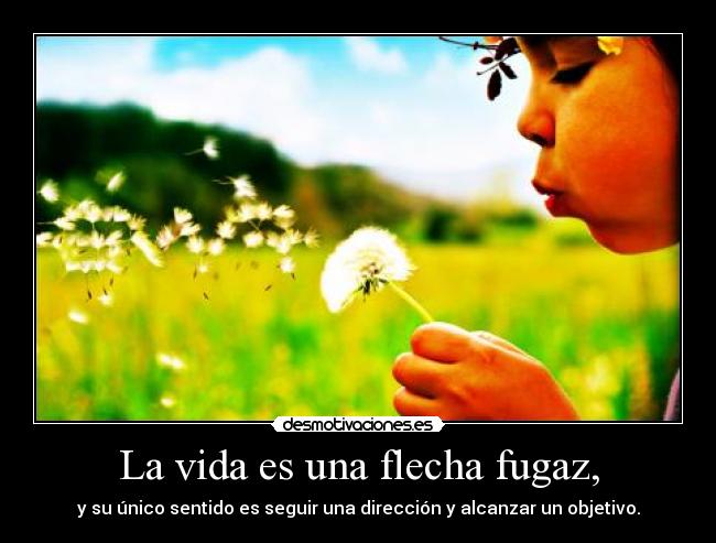 La vida es una flecha fugaz, - y su único sentido es seguir una dirección y alcanzar un objetivo.