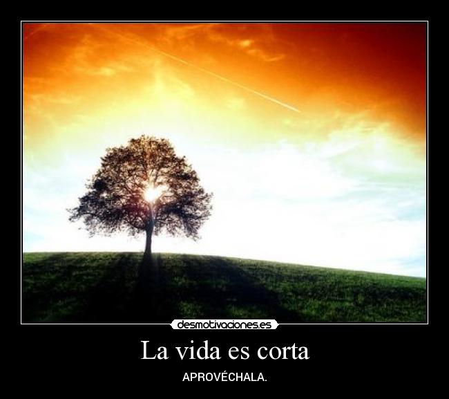 La vida es corta - APROVÉCHALA.