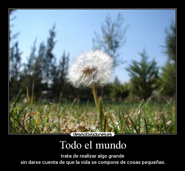 Todo el mundo - trata de realizar algo grande
sin darse cuenta de que la vida se compone de cosas pequeñas.