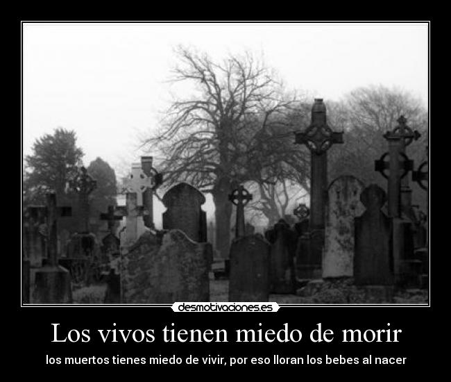 Los vivos tienen miedo de morir - los muertos tienes miedo de vivir, por eso lloran los bebes al nacer