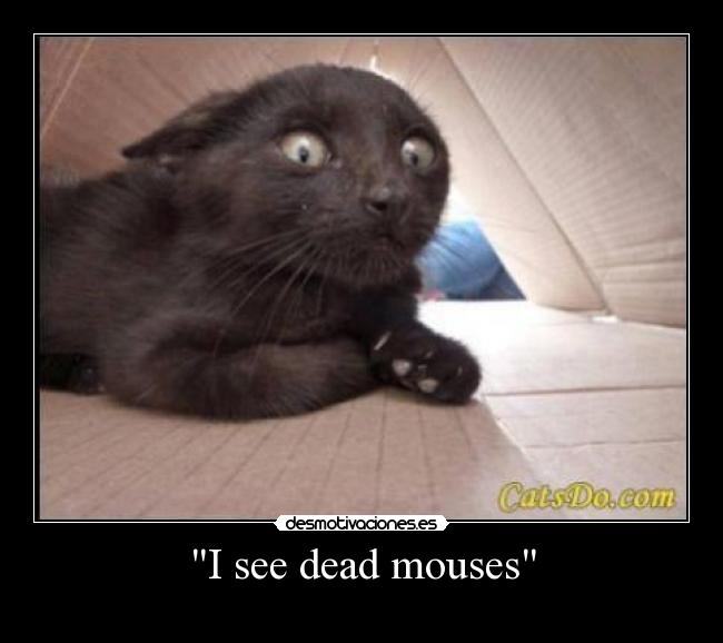 I see dead mouses - 