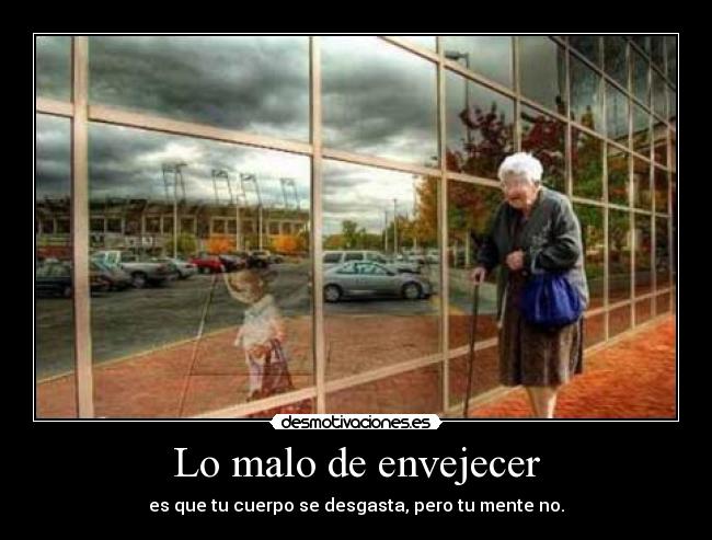 carteles forrest gump desmotivaciones