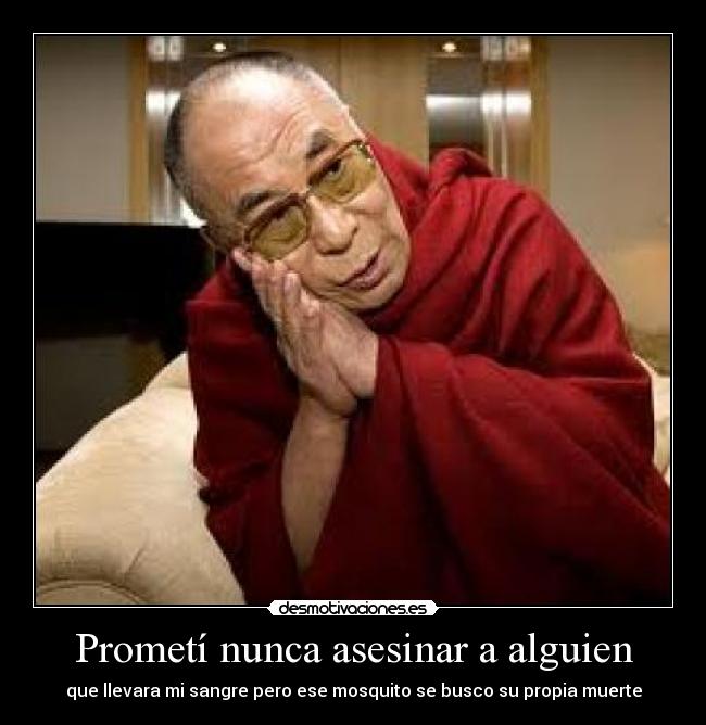 Prometí nunca asesinar a alguien - que llevara mi sangre pero ese mosquito se busco su propia muerte