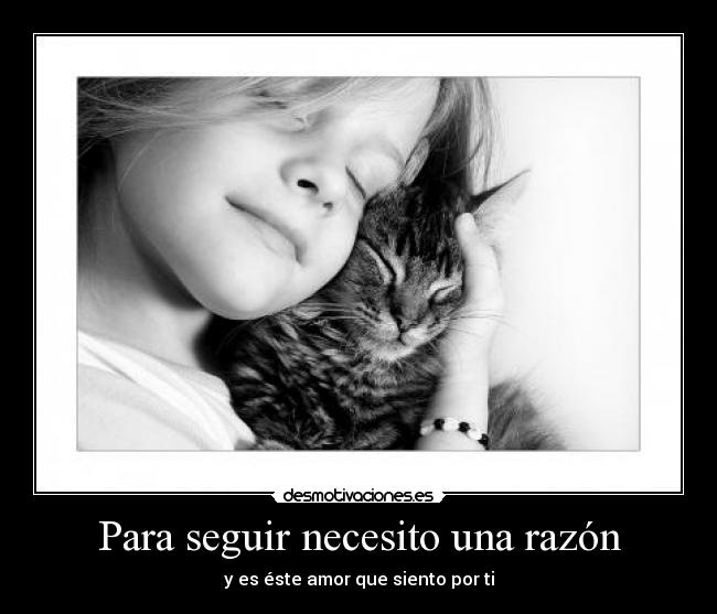Para seguir necesito una razón - y es éste amor que siento por ti