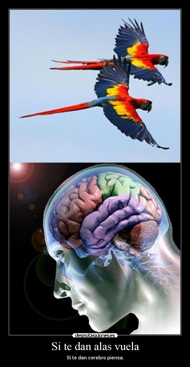 Si te dan alas vuela - Si te dan cerebro piensa.