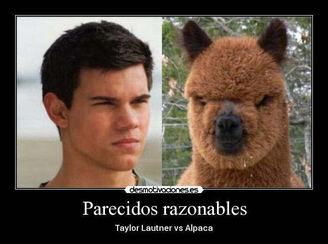 Parecidos razonables - 