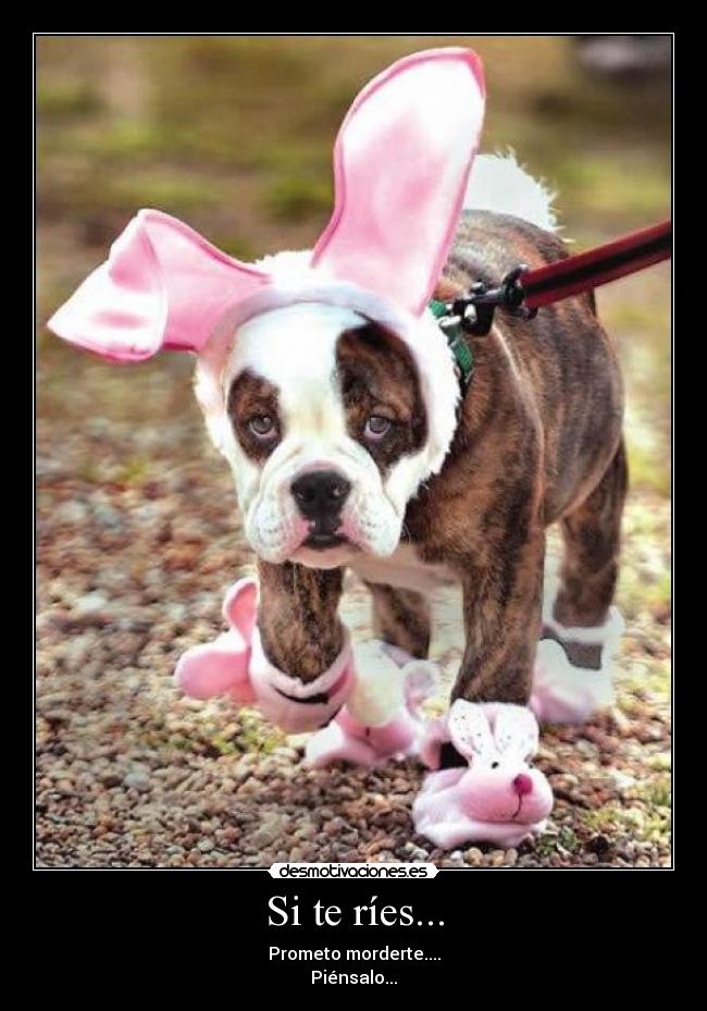 Si te ríes... -