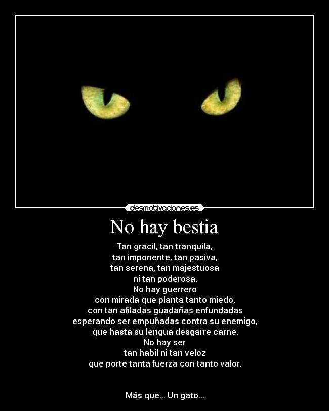 No hay bestia - Tan gracil, tan tranquila,
tan imponente, tan pasiva,
tan serena, tan majestuosa
ni tan poderosa.
No hay guerrero
con mirada que planta tanto miedo,
con tan afiladas guadañas enfundadas
esperando ser empuñadas contra su enemigo,
que hasta su lengua desgarre carne.
No hay ser
tan habil ni tan veloz
que porte tanta fuerza con tanto valor.


Más que... Un gato...