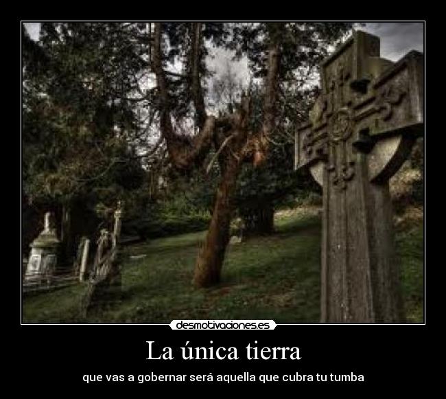 La única tierra -