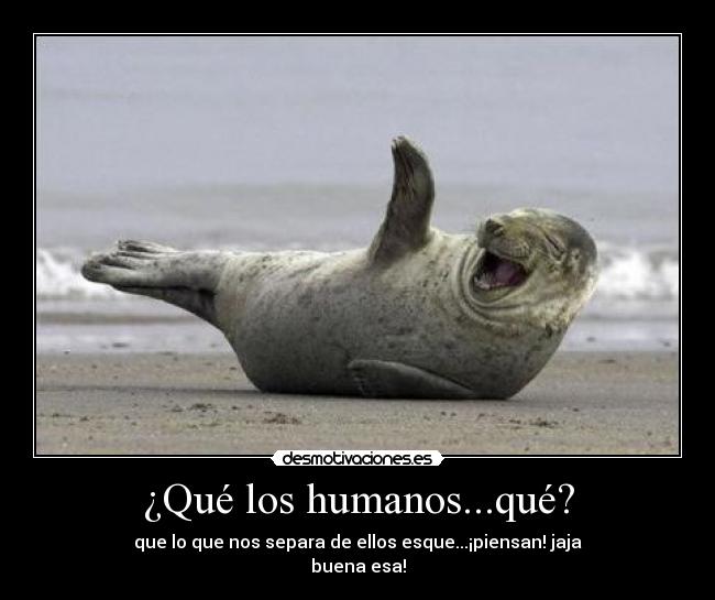 ¿Qué los humanos...qué? - que lo que nos separa de ellos esque...¡piensan! jaja
buena esa!