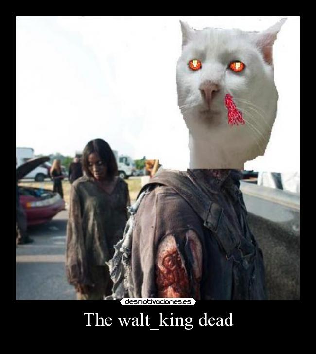 The walt_king dead -
