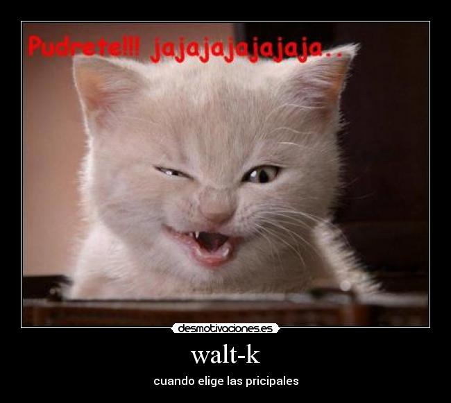 walt-k - cuando elige las pricipales