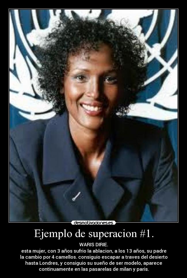 carteles punk alive desmotivaciones