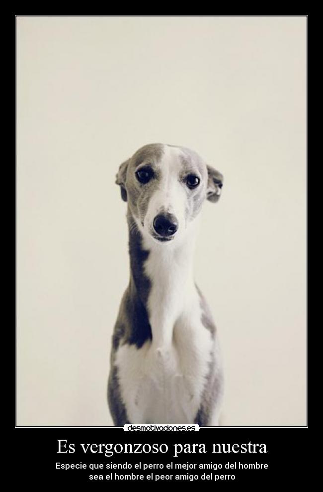 Es vergonzoso para nuestra -